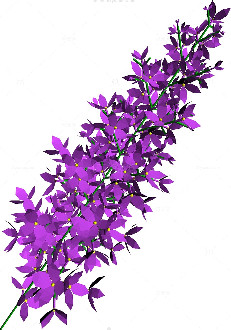 卡通紫丁香