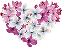 手绘丁香花