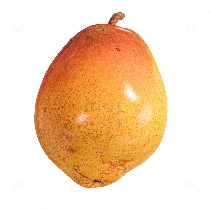 写实成熟的水果梨