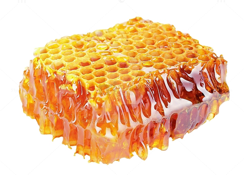 蜂巢蜜蜂蜜土蜂蜜块