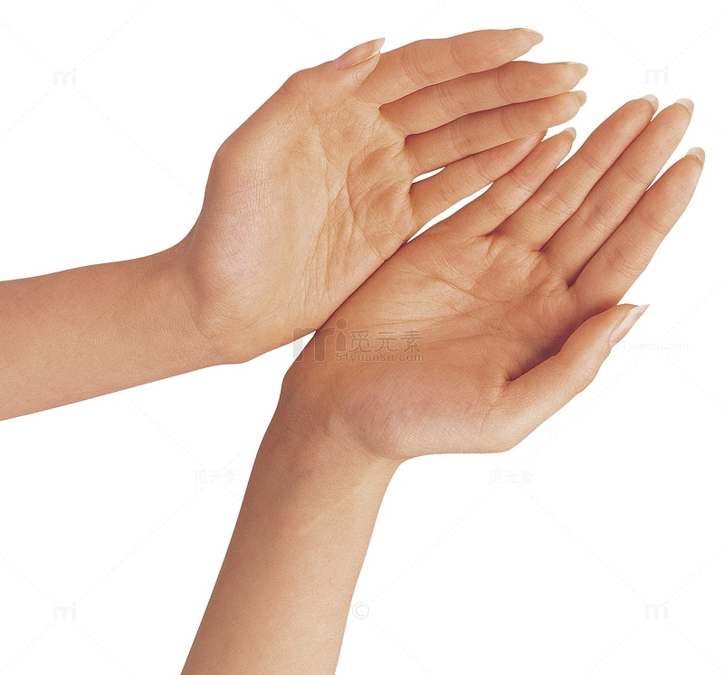 一双女人的手