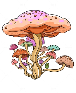 神奇绚丽大蘑菇