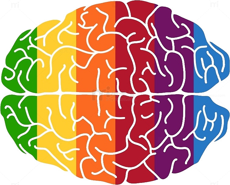 彩色人脑结构
