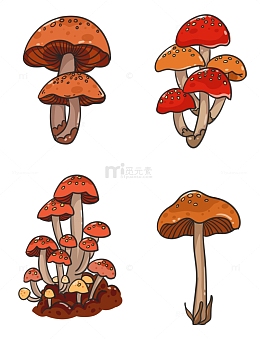 植物生长蘑菇