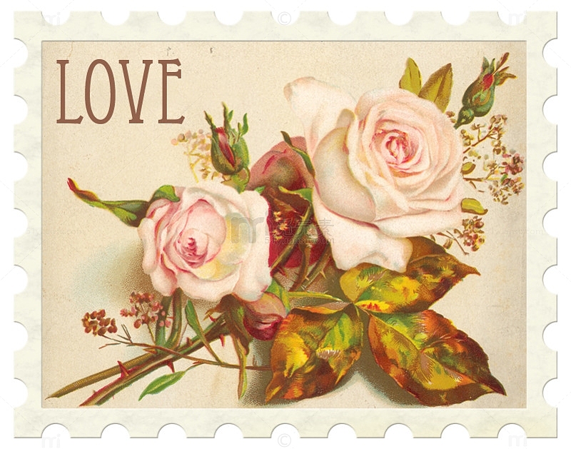 玫瑰花朵邮票