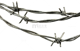 铁蒺藜隔离护栏网