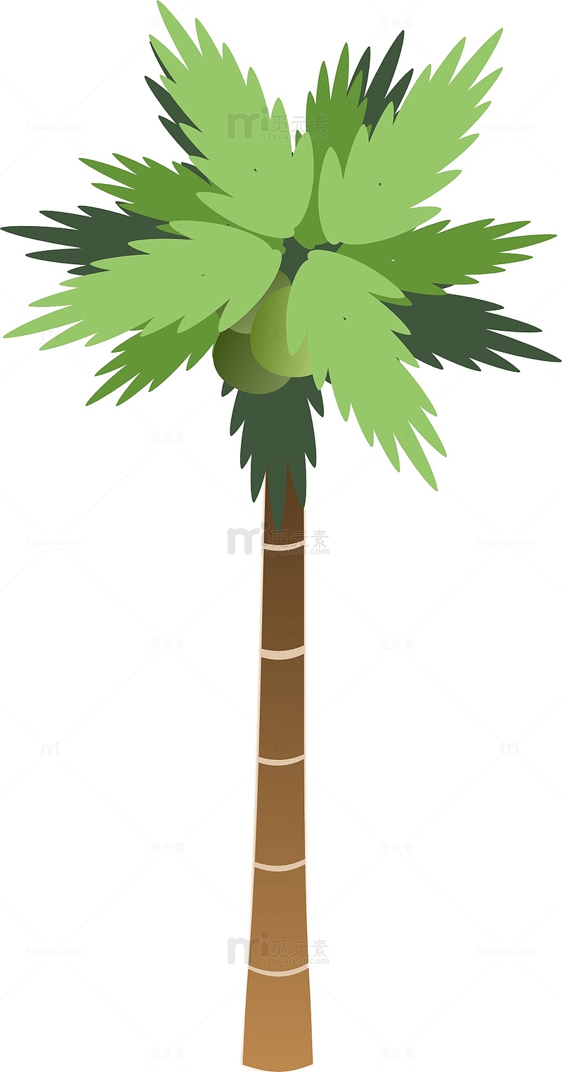 彩绘棕榈树