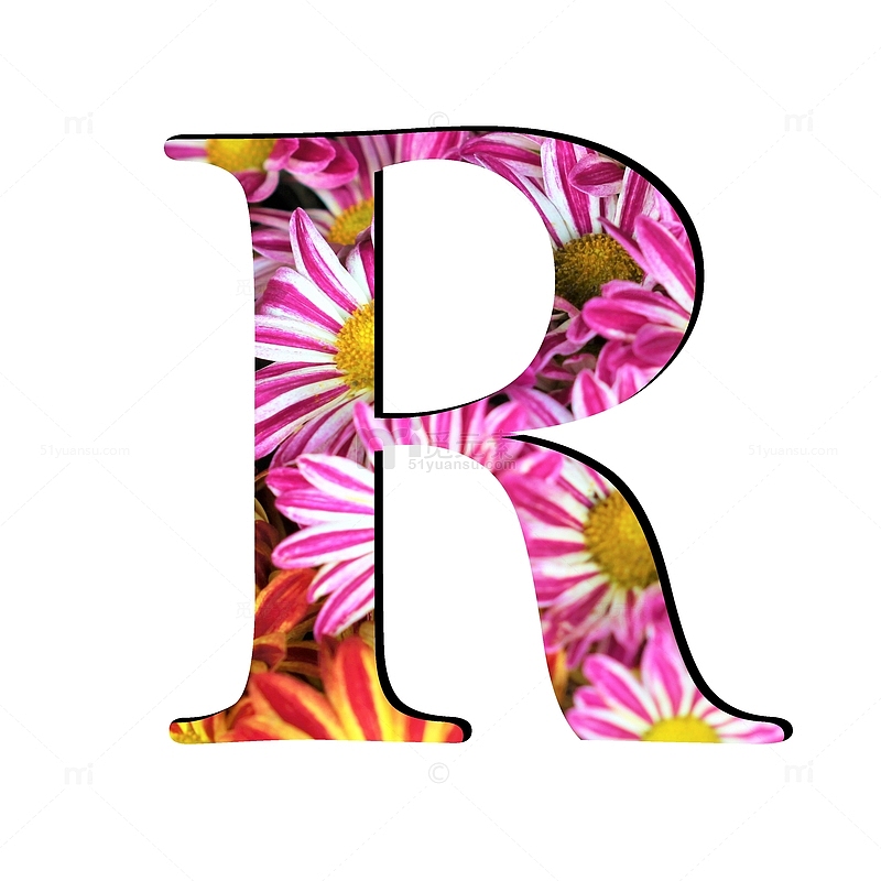 菊花字母R