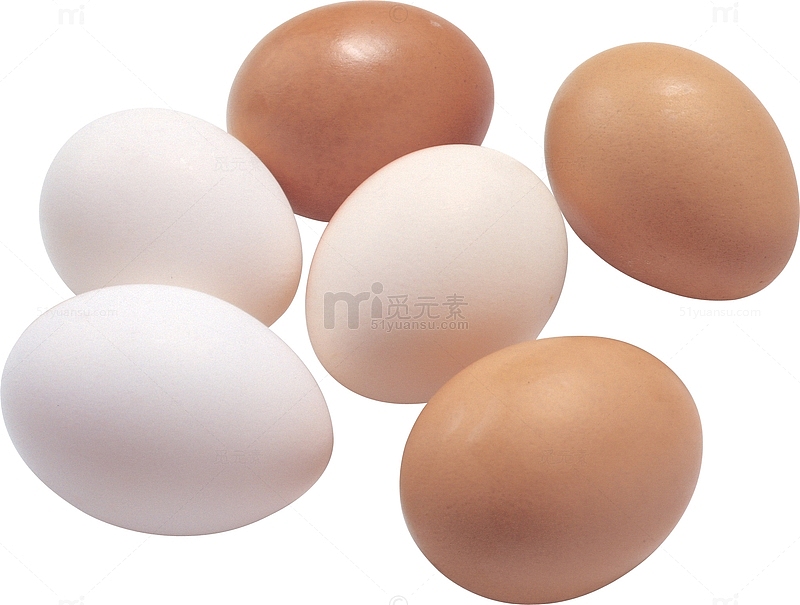 鸡蛋鸭蛋蛋类
