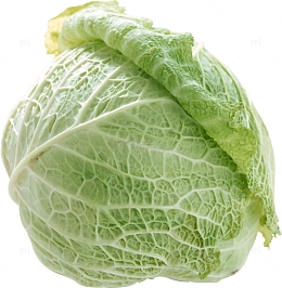 蔬菜包菜