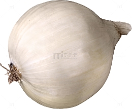 白色洋葱头