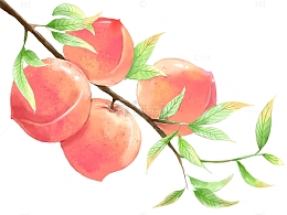 一株桃子吉祥如意
