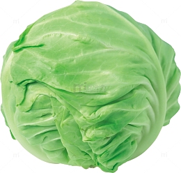 绿甘蓝卷心菜包心菜