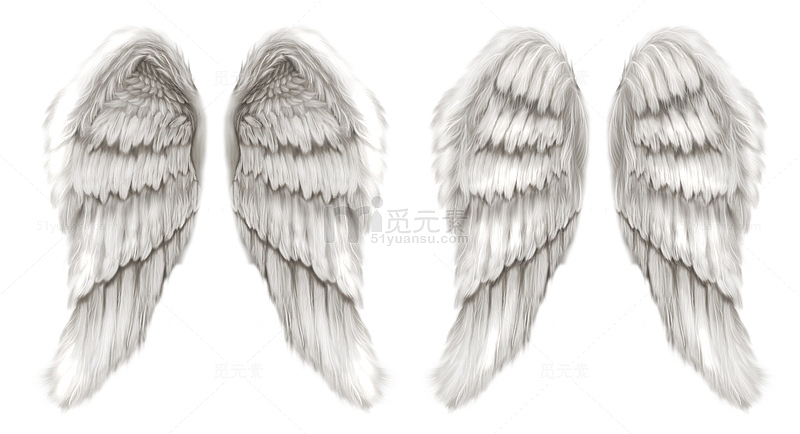 白色天使的翅膀