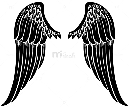 黑色翅膀双翼