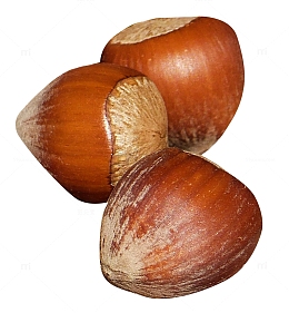 三个榛子