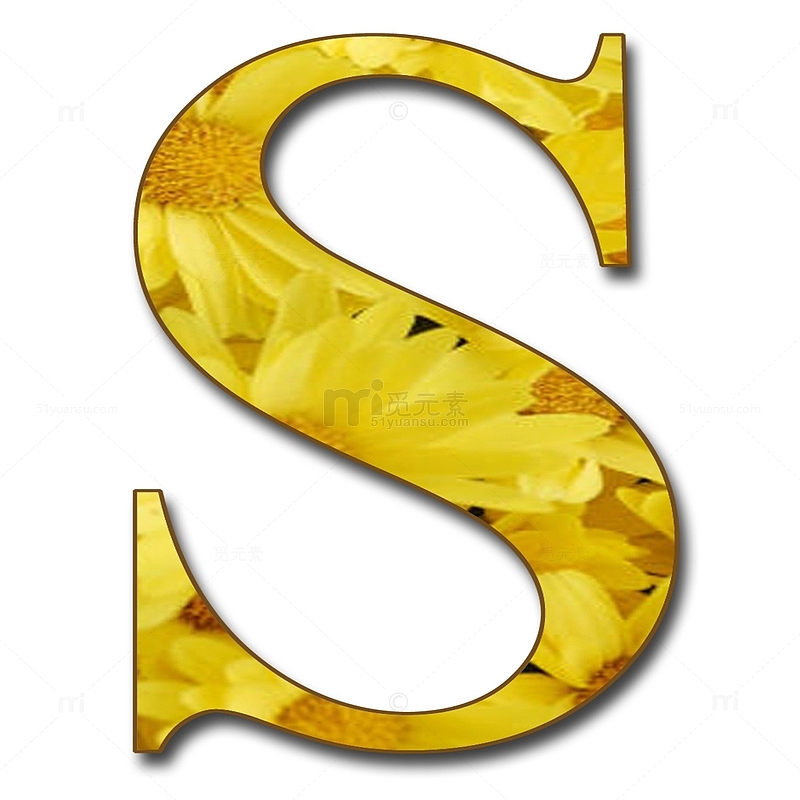 黄色金属字母S