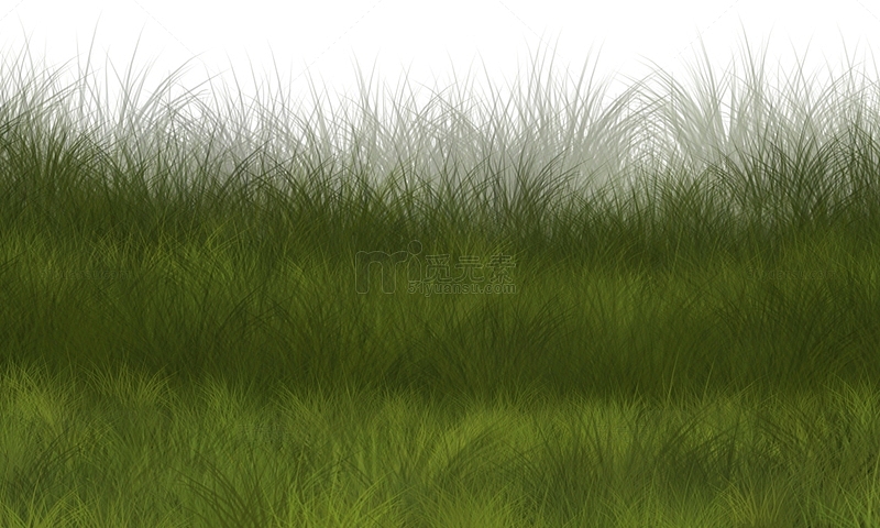 彩绘绿草地