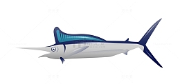 卡通海洋生物剑鱼