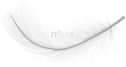 白色羽毛