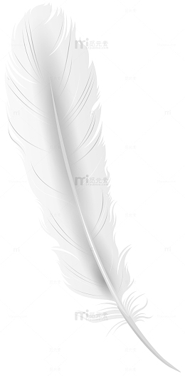 羽毛白色图像