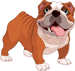 卡通斗牛犬
