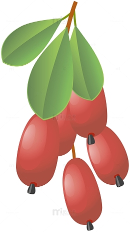 红色沙棘果