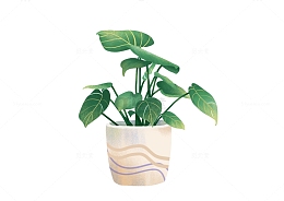 植物盆栽卡通小清新手绘插画