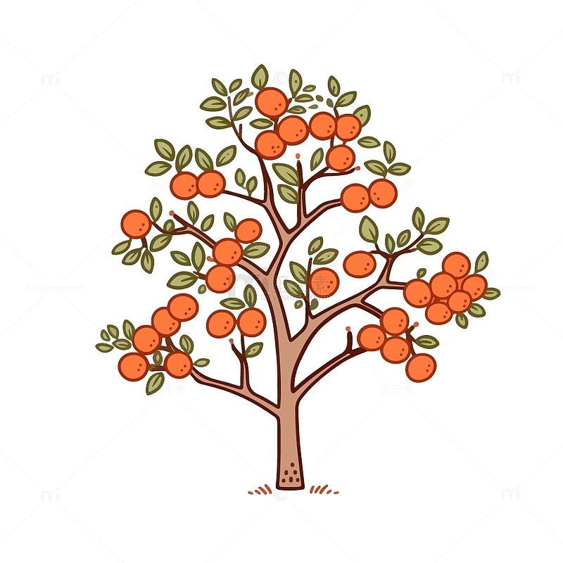 卡通的柿子树插画