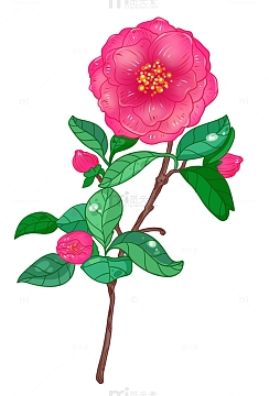 卡通芍药素材_卡通芍药图片元素-觅元素