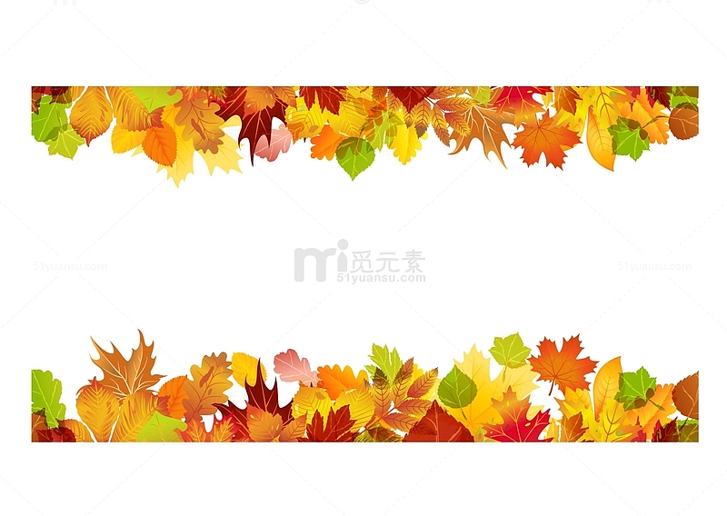 秋天黄色树叶植物边框装饰