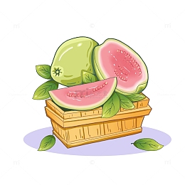 芭乐番石榴红心水果美食手绘插画