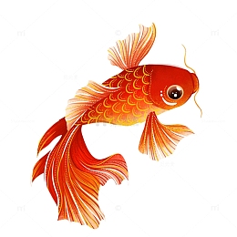 新年春节红色好运锦鲤手绘插画元素
