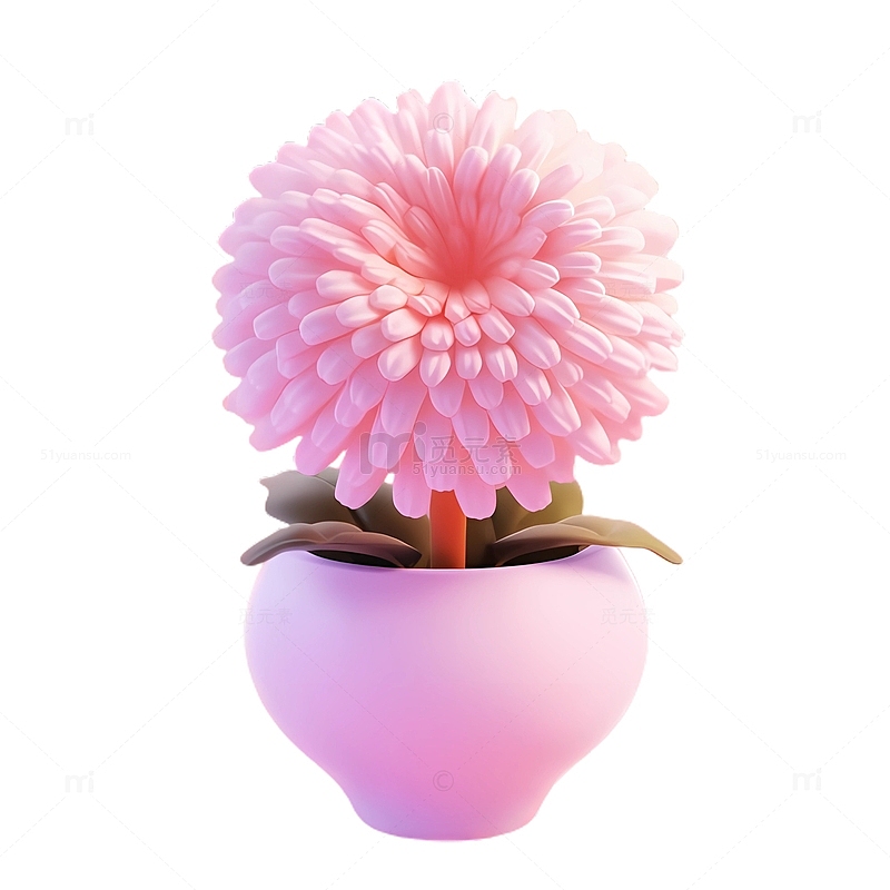 3D盆栽菊花