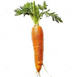 一根胡萝卜摄影图