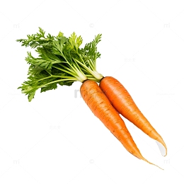 两根胡萝卜摄影图