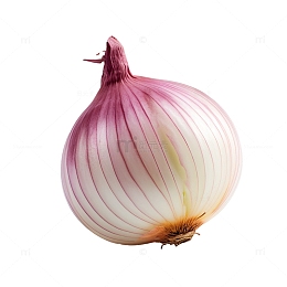 洋葱免抠元素