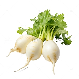 三颗萝卜免抠摄影图