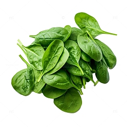 小青菜素材图