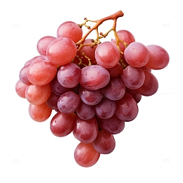 元素真实提子高清