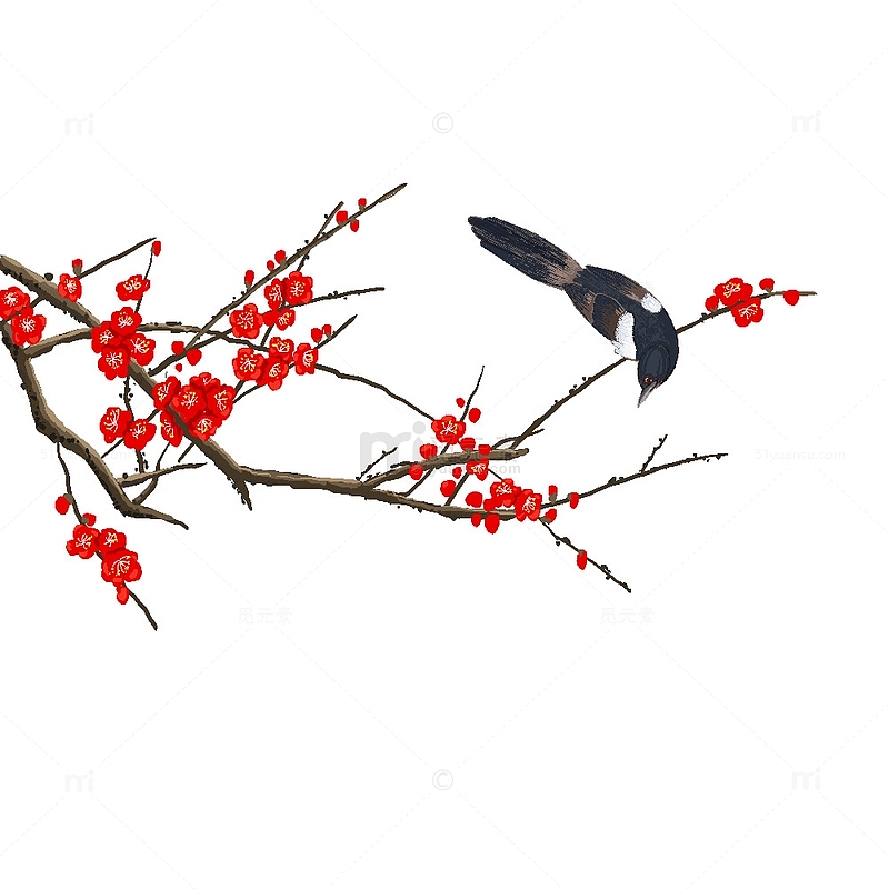 梅花喜鹊手绘水墨红色树枝