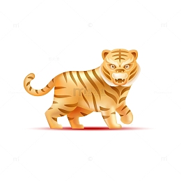 金色可爱猛虎