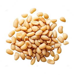 松仁素材-松仁png图片下载-觅元素