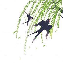 春天立春柳枝燕子