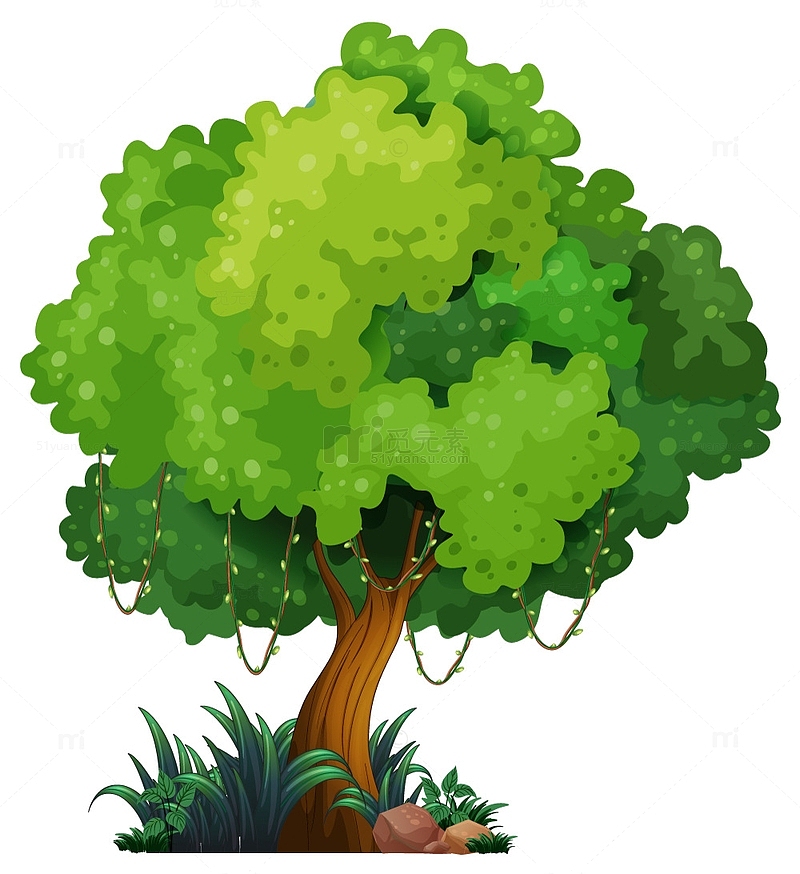 春天绿色大树插图