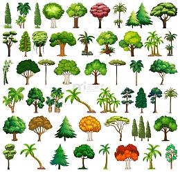 卡通植物树木大全