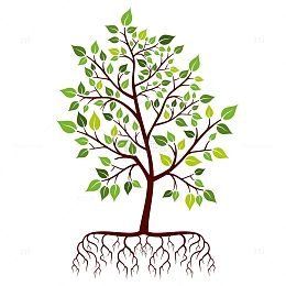 卡通绿色树木树根春天