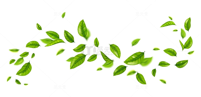 漂浮茶叶绿叶