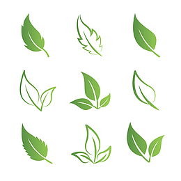植物的叶子图标