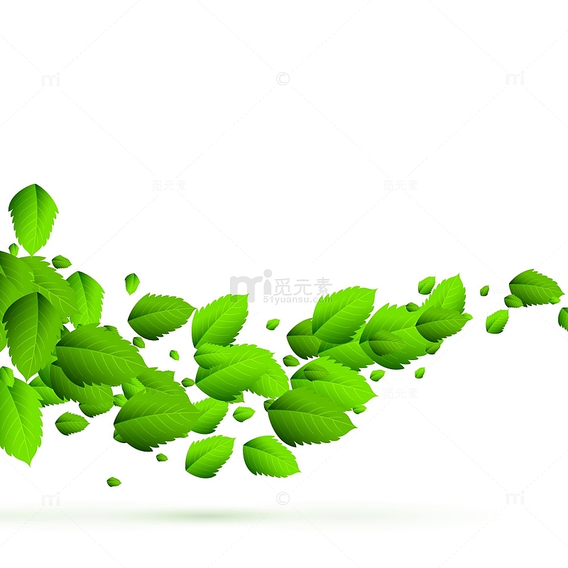 绿色矢量叶子漂浮元素